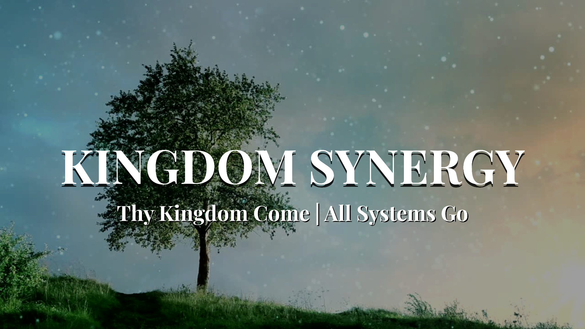 THE SYNERGISTIC LIFE